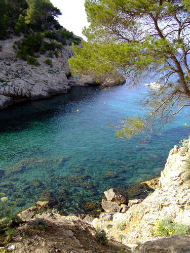 Cala Multons_stramy_GE