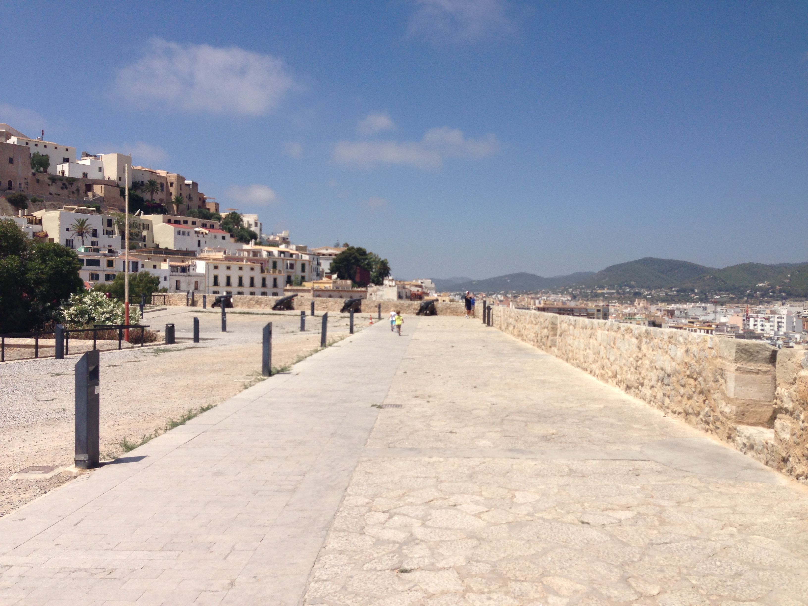 DaltVila_mura_5