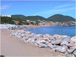 Figueral_X