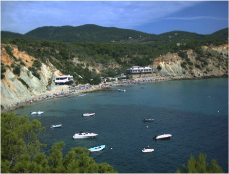 CalD'Hort_X