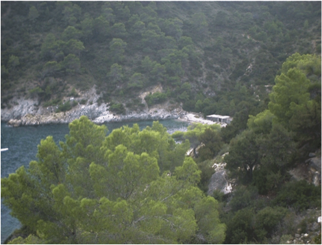 CalaLlentrisca_X