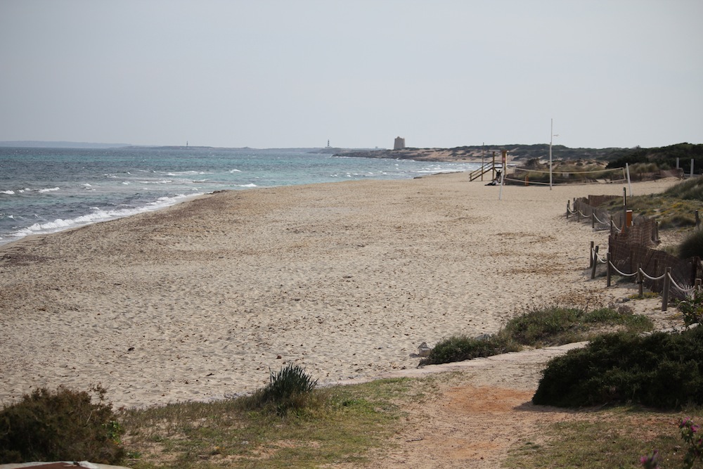 Es Cavallet_IMG_6129_EsCavallet
