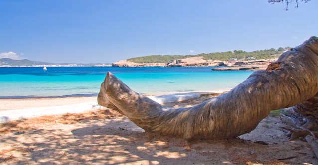 Ibiza, Cala Bassa una spiaggia da non perdere