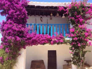 casa bianca