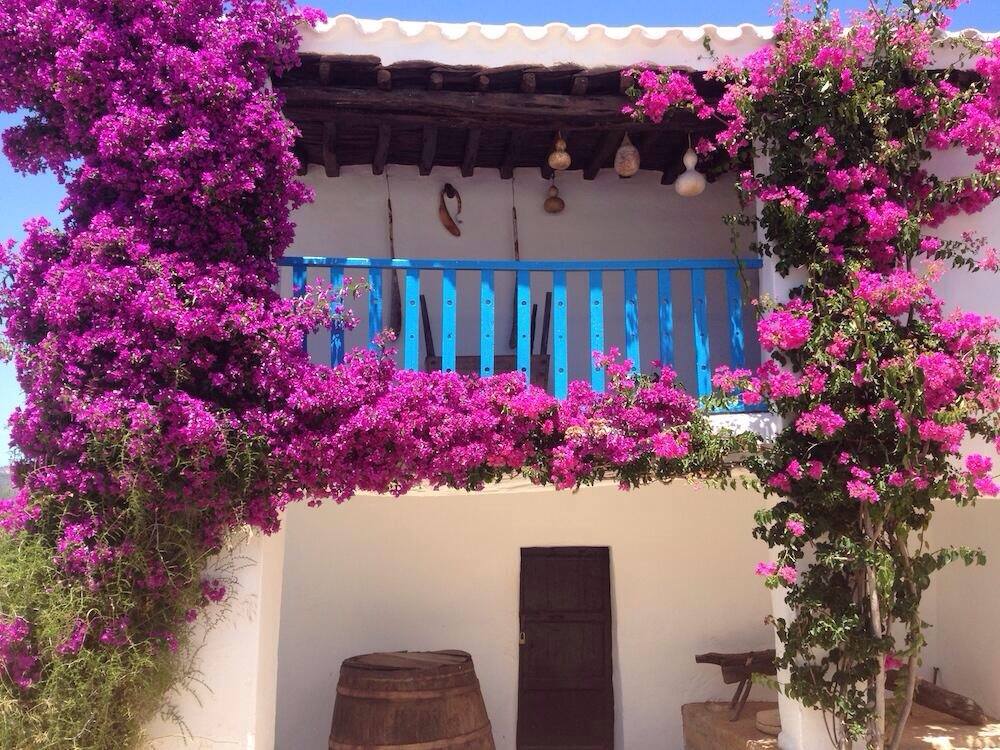 casa bianca