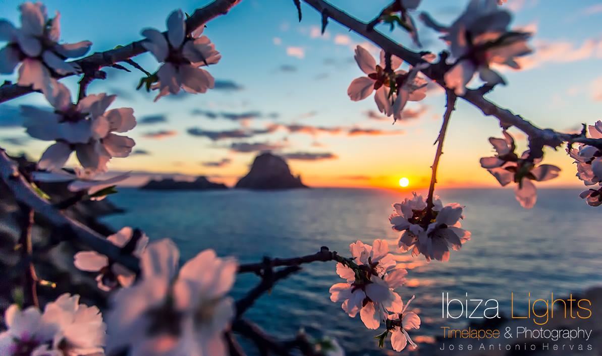 ibizalight