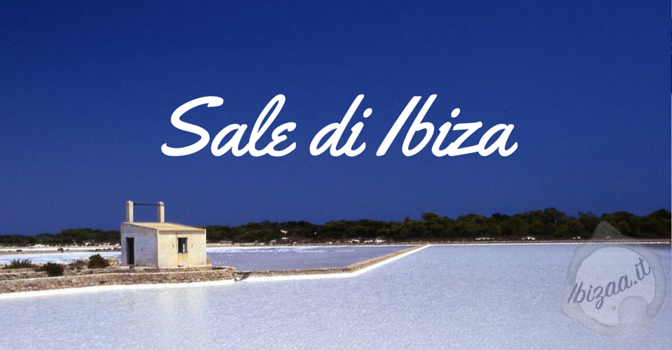 Ibiza, le saline